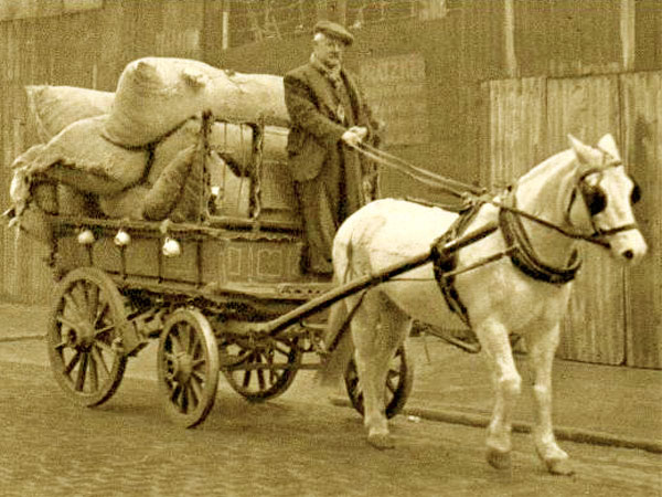 Click here for Magnification