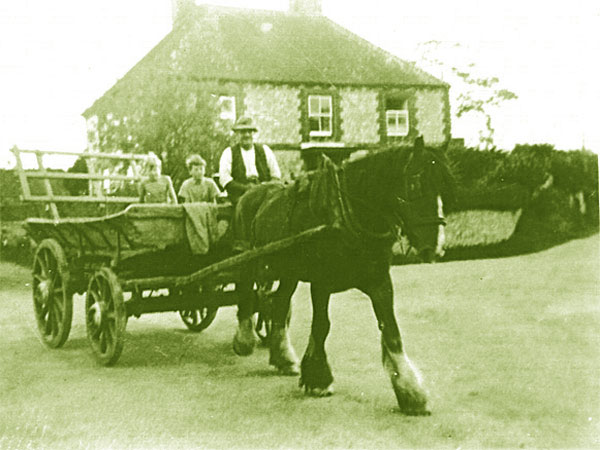 Click here for Magnification