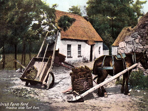 Click here for Magnification