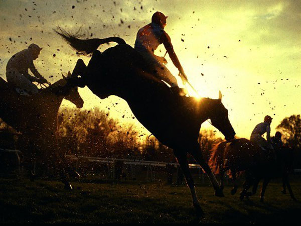 Click here for Magnification