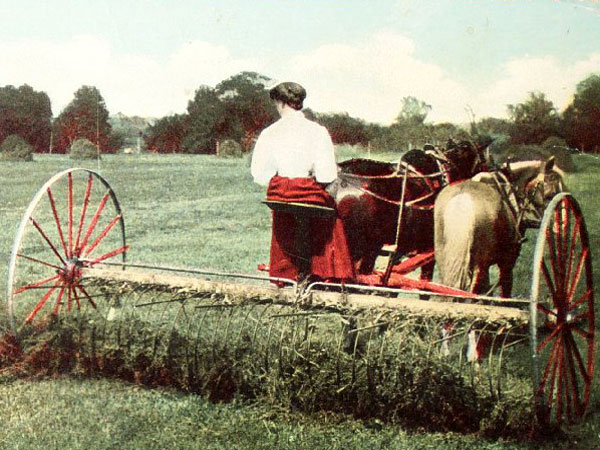 Click here for Magnification