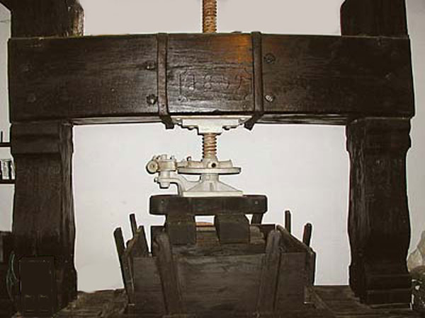 Click here for Magnification