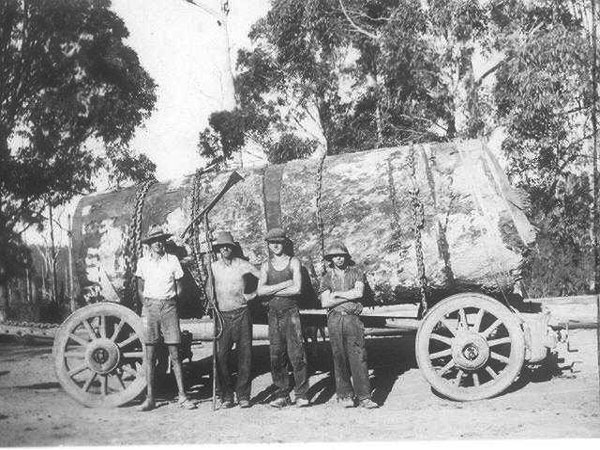 Click here for Magnification