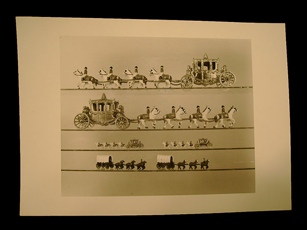 Click here for Magnification