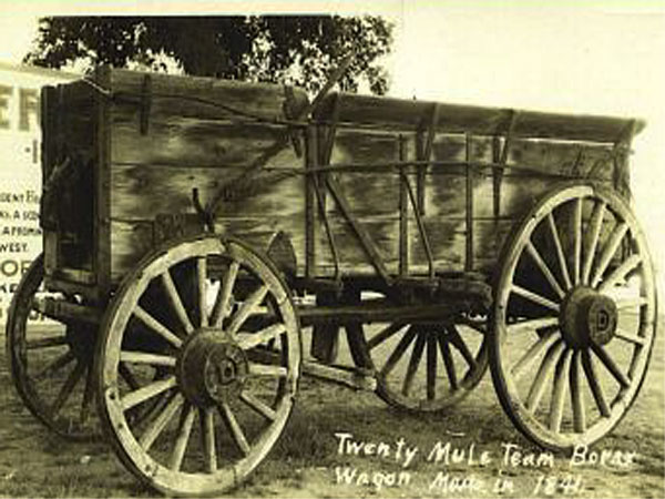 Click here for Magnification