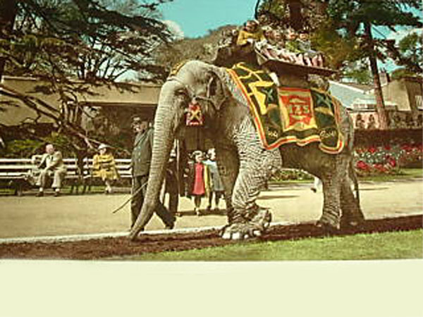 Click here for Magnification