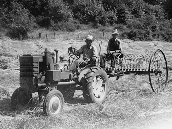 Click here for Magnification