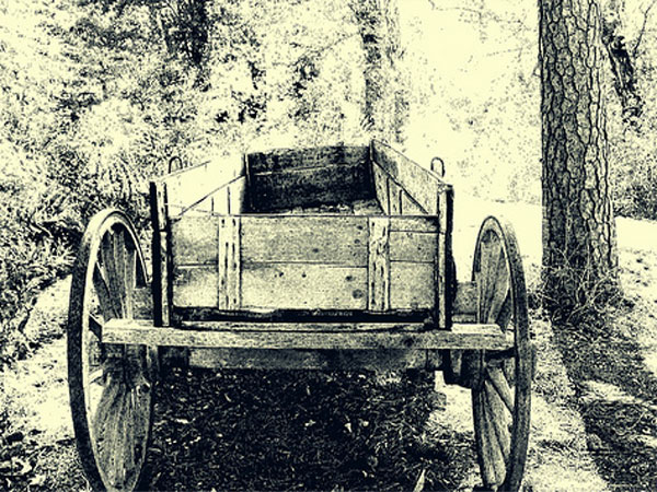 Click here for Magnification