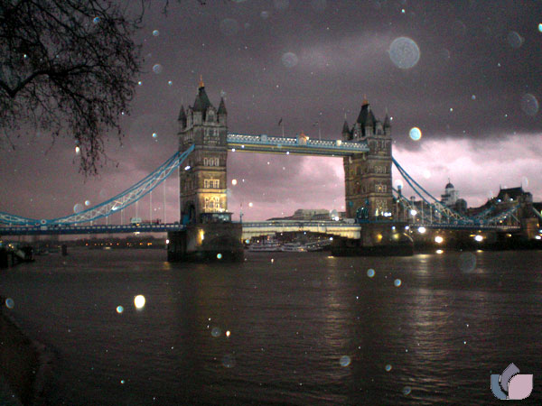 Click here for Magnification