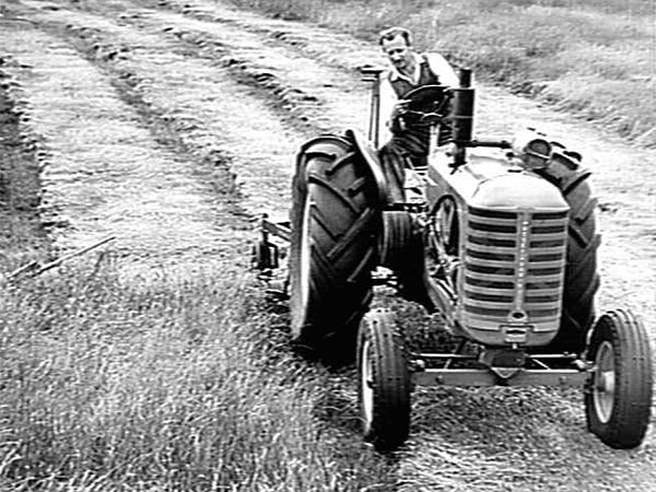 Click here for Magnification