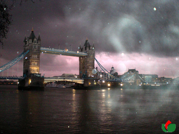 Click here for Magnification