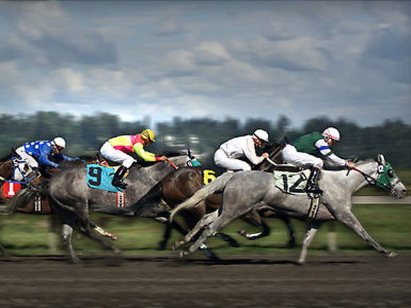 Click here for Magnification